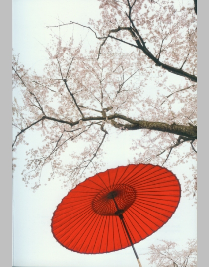 Silent Red Umbrella